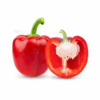 Fresh Red Capsicum