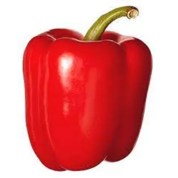 Organic Red Capsicum
