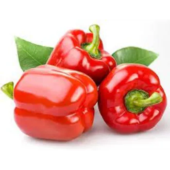 Common Red Capsicum