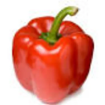Common Red Capsicum