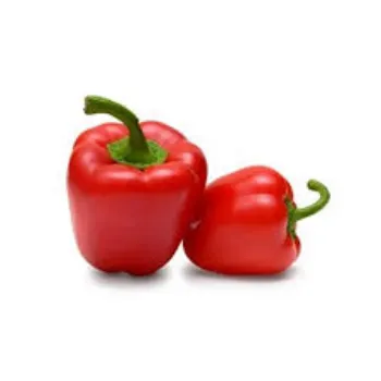 Common Red Capsicum