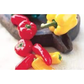 Organic Red Capsicum