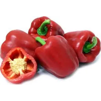 Organic Red Capsicum