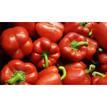 Organic Red Capsicum