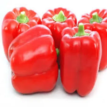 Organic Red Capsicum