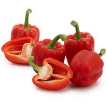 Organic Red Capsicum