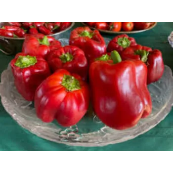 Natural Red Capsicum