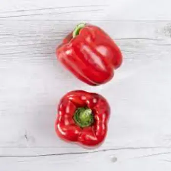 Common Red Capsicum