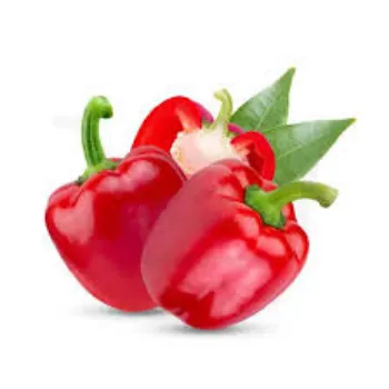 Organic Red Capsicum