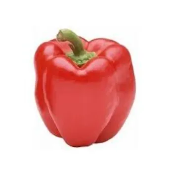 Organic Red Capsicum
