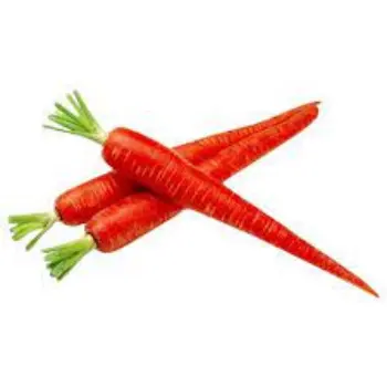 Natural Red Carrot