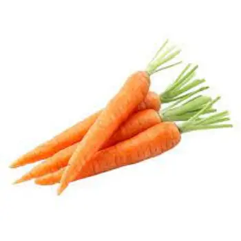 Common Red Carrot