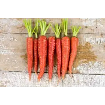 Natural Red Carrot