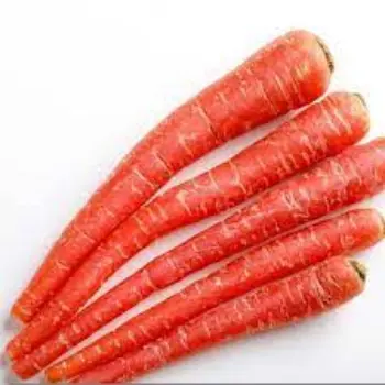 Common Red Carrot