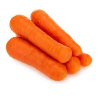 Common Red Carrot