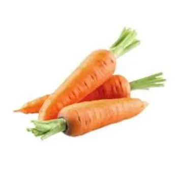Common Red Carrot