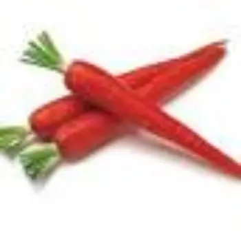 Natural Red Carrot
