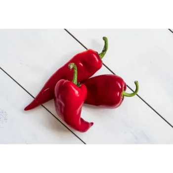 Common Red Chilli
