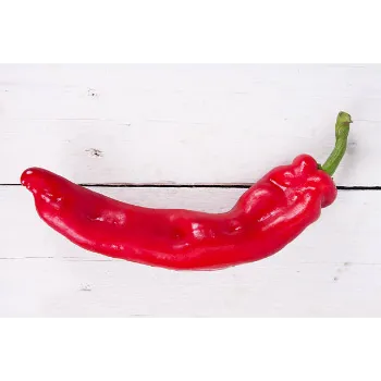 Red Chilli