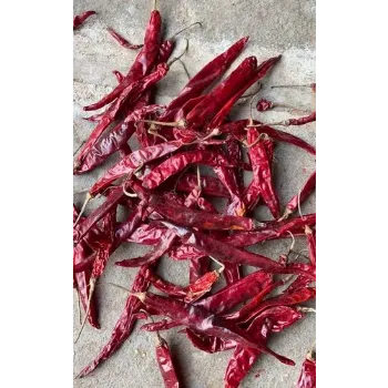Red Chilli