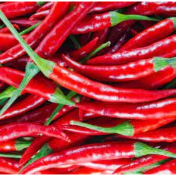 Organic Red Chilli
