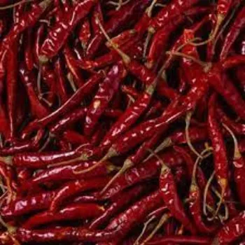 Fresh Red Chilli