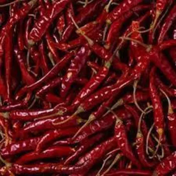 Fresh Red Chilli