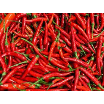  Organic Red Chilli