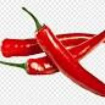 Common Red Chilli