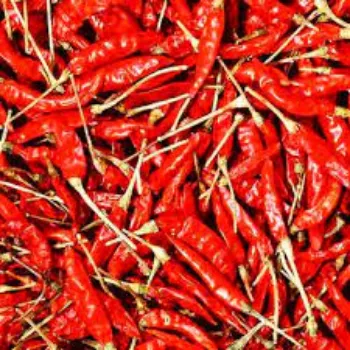 Organic Red Chilli