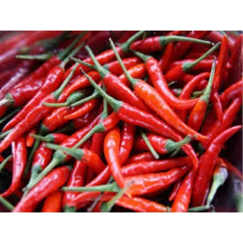 Organic Red Chilli