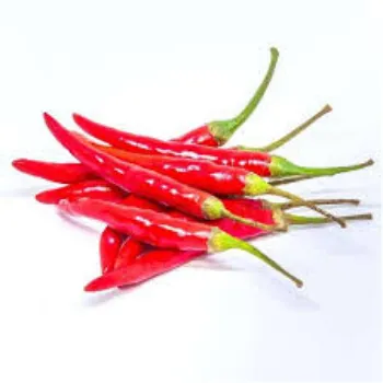 Organic Fresh Red Chilli