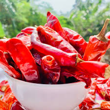 Natural Fresh Red Chilli