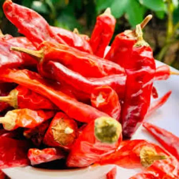 Natural Dried Red Chilli