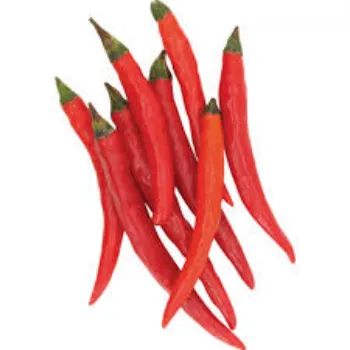 Organic Fresh Red Chilli