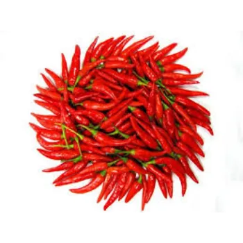 Fresh Red Chilli