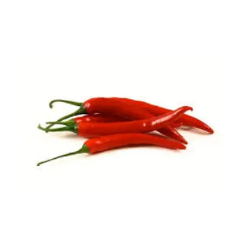 Organic Dried Red Chilli