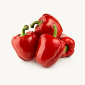 Fresh Red Capsicum