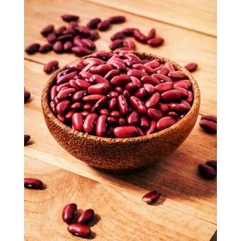Common Bean Seeds
