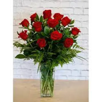 Fresh Red Rose