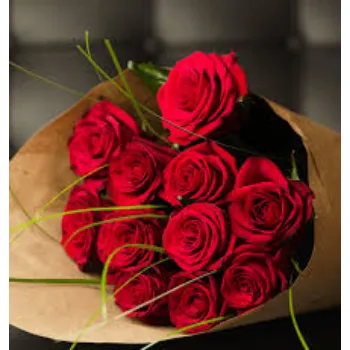 Roshni Agri forestry Red Rose