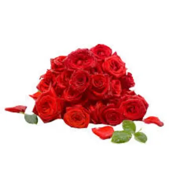 A.p. Flower Mart  Red Rose