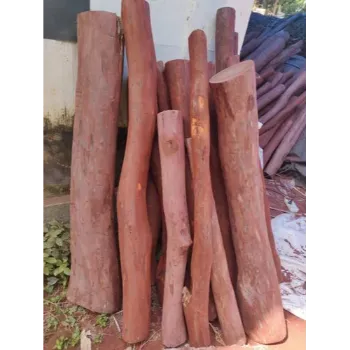 Stairway Red Sandalwood