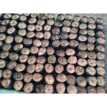Double Super Red Sandalwood