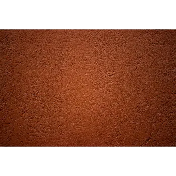 Shambhavi Red Sandstone
