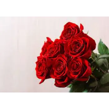 Natural Red Rose Flowers Manufacturer
