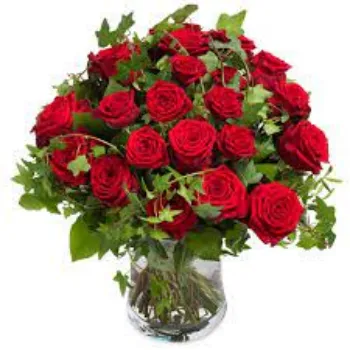 Fresh Red Rose Flower
