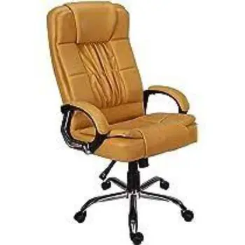 Fine Finishing Revolving Chair