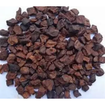 Roasted Chicory Cubes