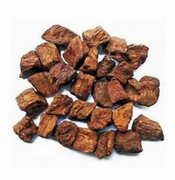 Fresh Roasted Chicory Cubes